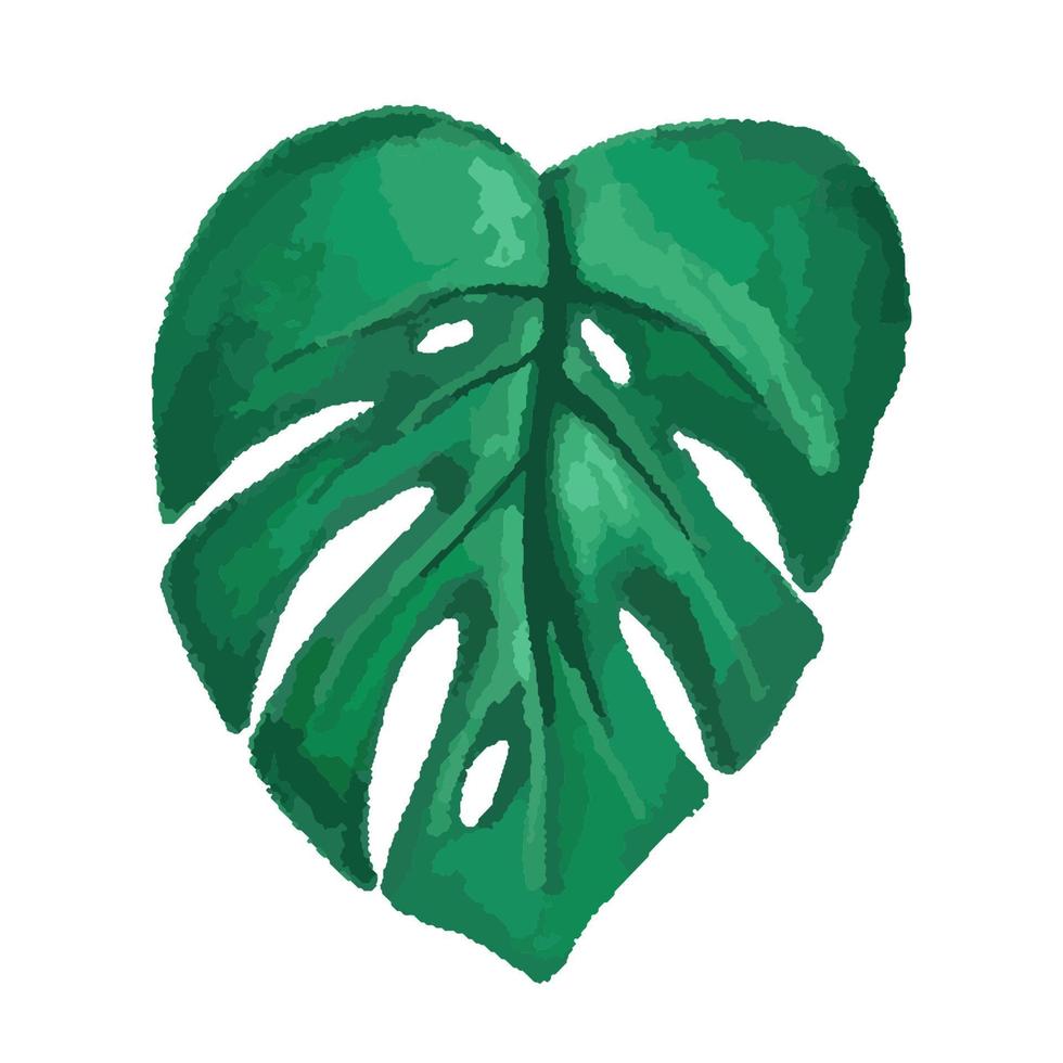 folha tropical do vetor, monstera. ilustração em aquarela de uma planta exótica vetor