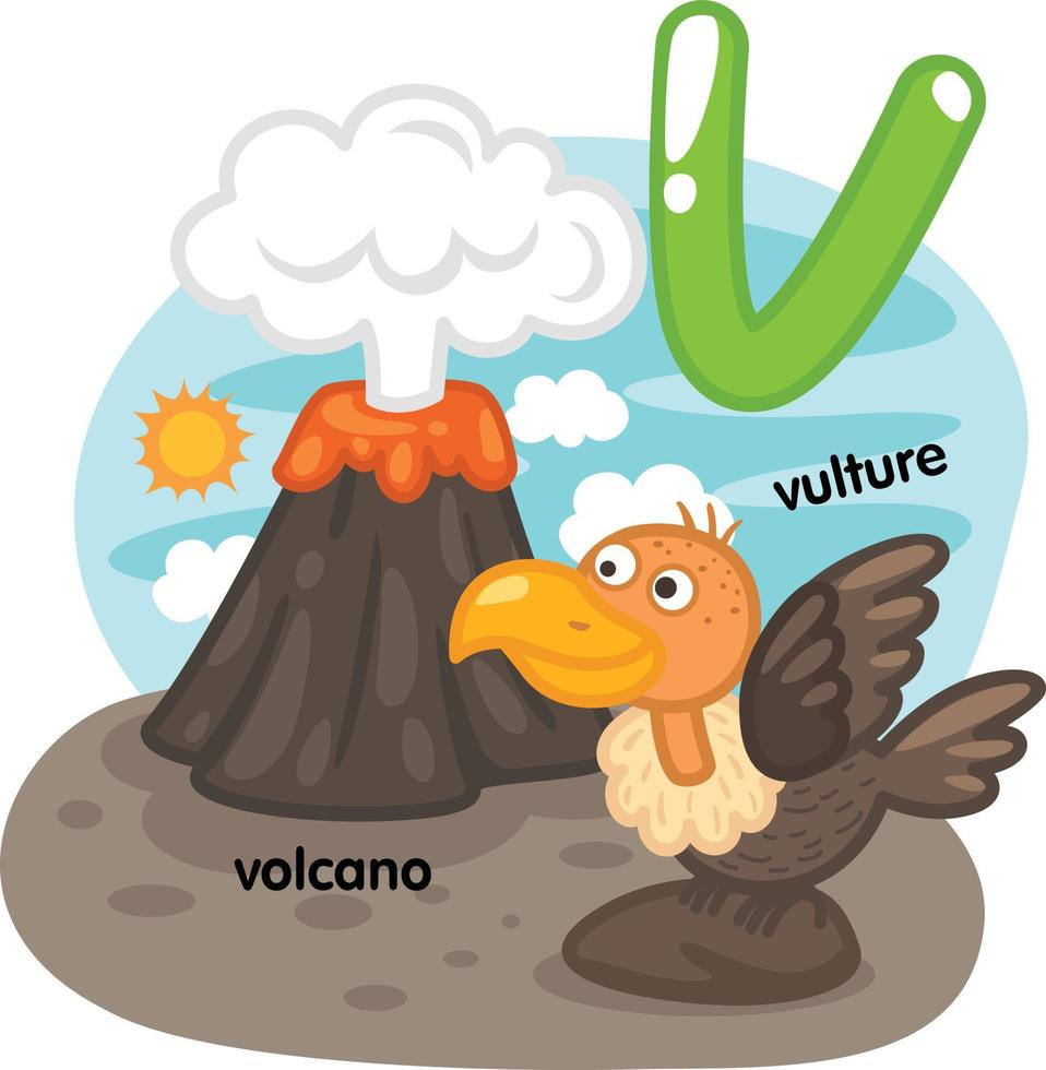 alfabeto isolado letra v-vulcão-abutre ilustração, vetor