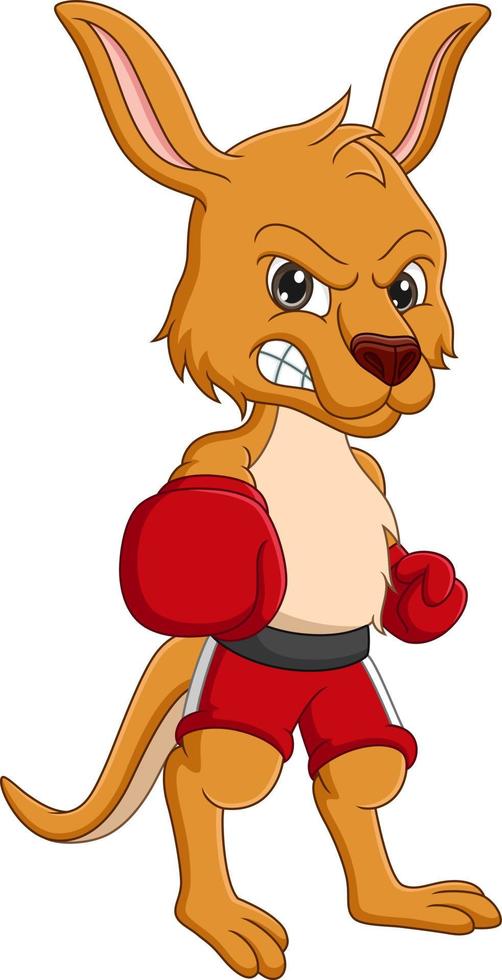 canguru de desenho animado com luvas de boxe vetor