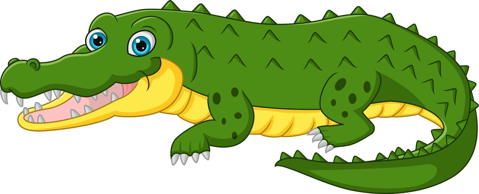 desenho de crocodilo fofo isolado no fundo branco vetor