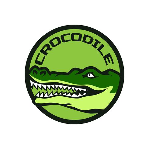 logotipo de equipe jacaré crocodilo vetor