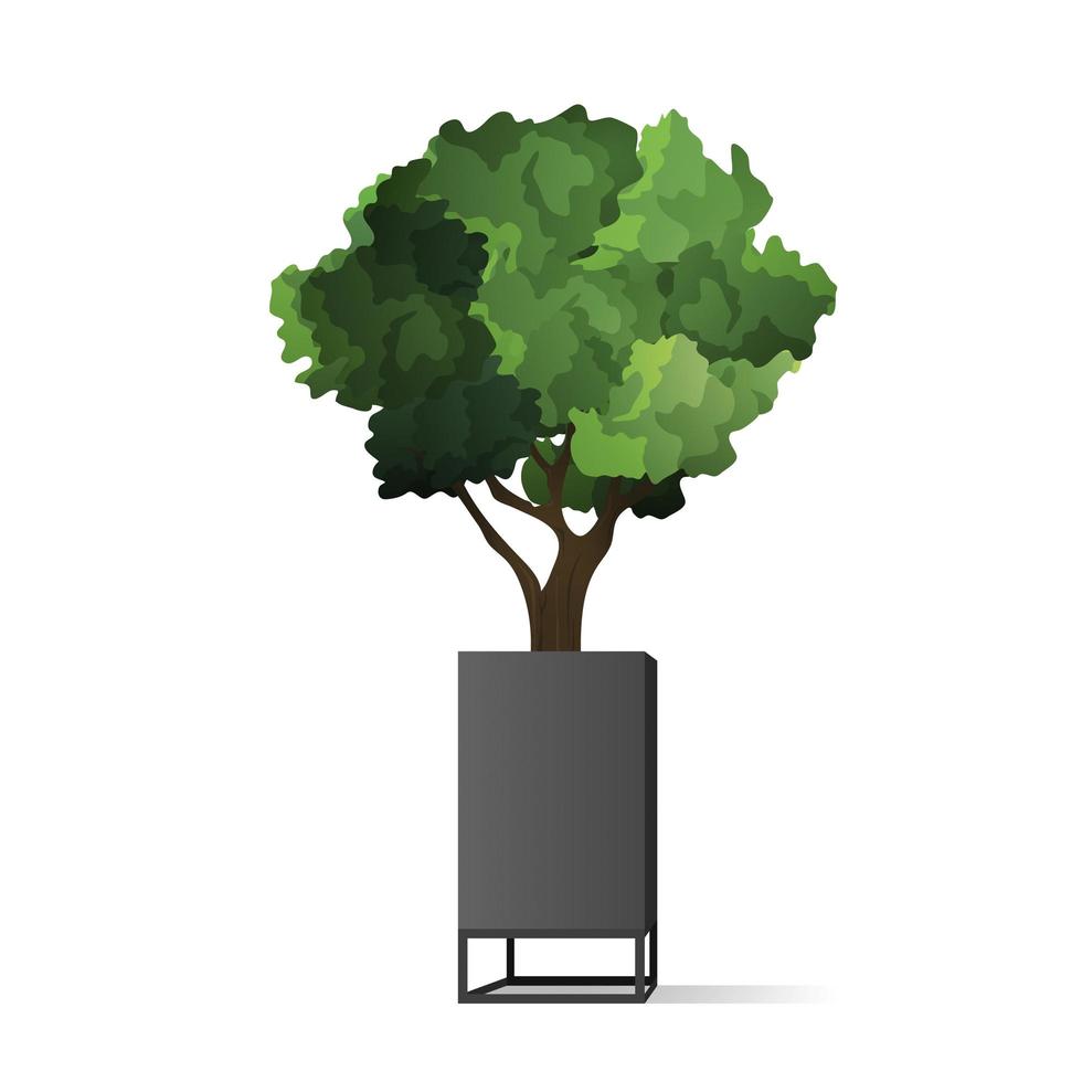 uma pequena árvore em uma panela. planta de casa isolada em um fundo branco. ilustração vetorial vetor