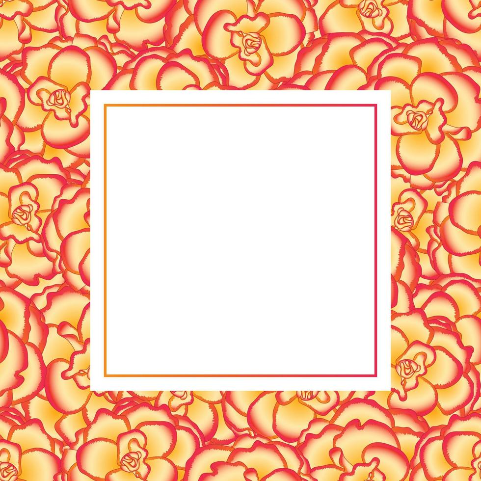 flor de begônia, cartão de banner picotee sunburst vetor