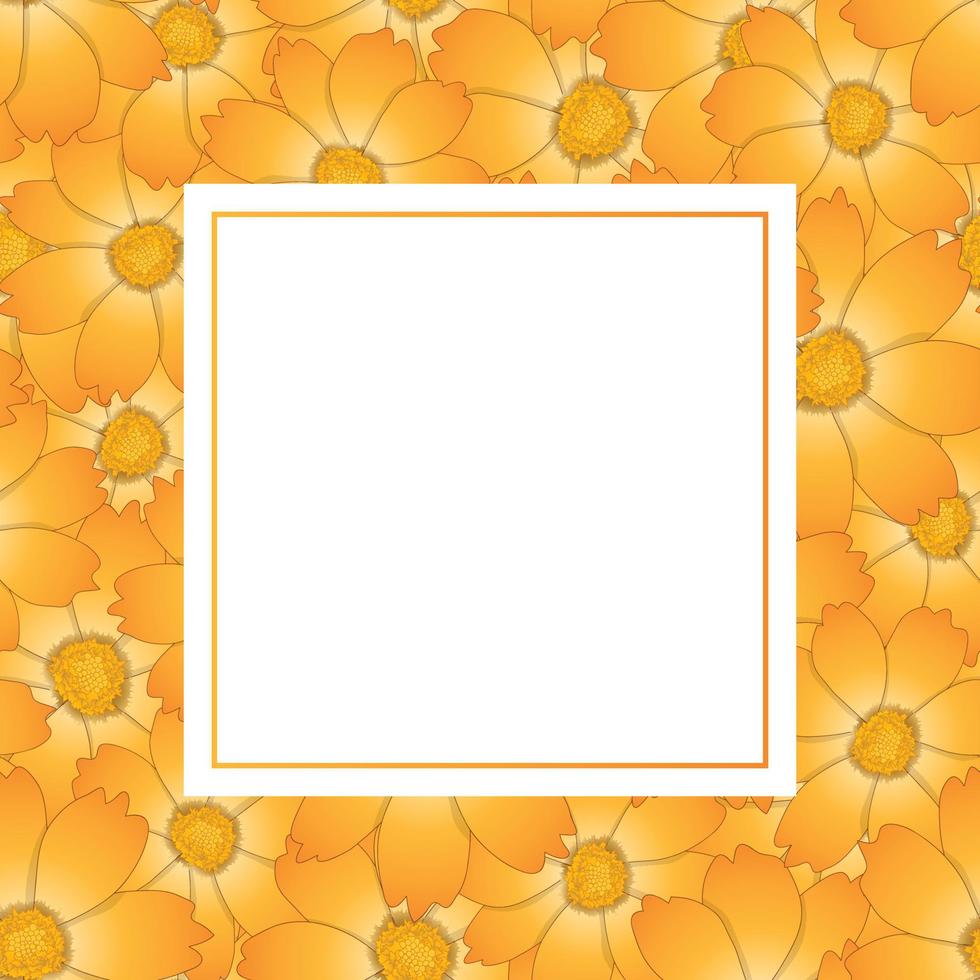 cartão de banner de flor cosmos amarelo laranja vetor