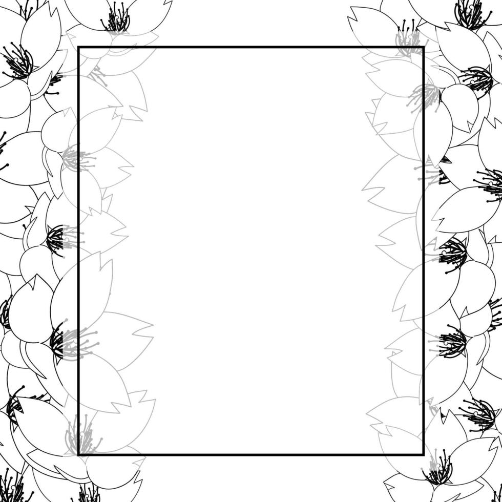borda de cartão de banner de contorno de flor de cerejeira sakura vetor