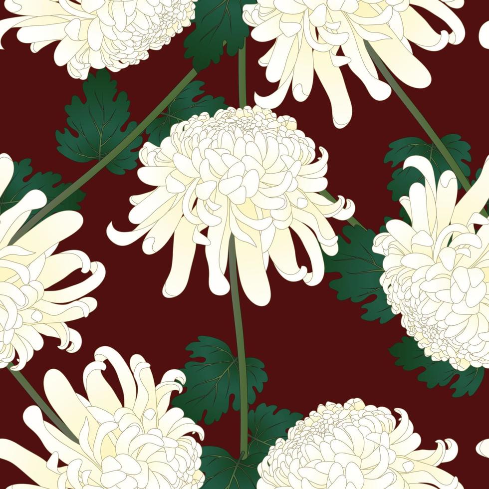 flor de crisântemo branco sobre fundo vermelho vetor