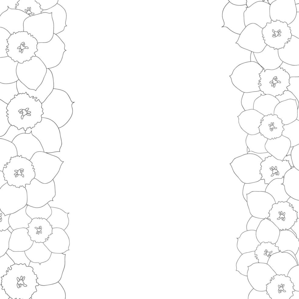 narciso - borda de contorno de flor de narciso vetor