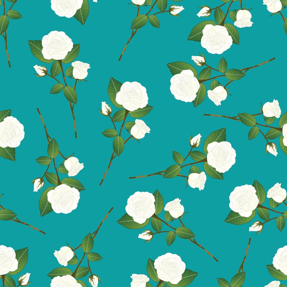 buquê de rosas brancas sobre fundo verde-azulado vetor