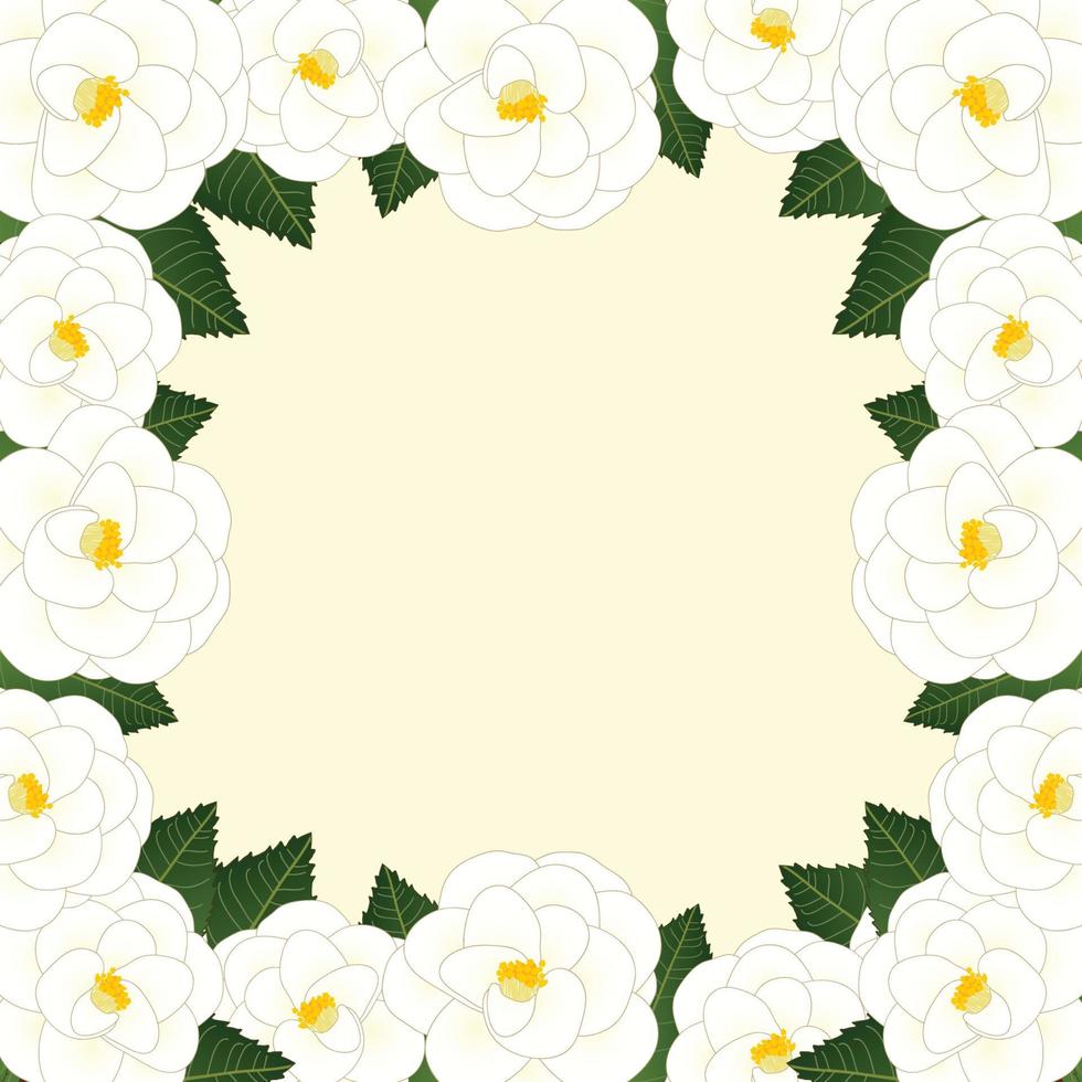 ilustração border.vector de quadro de flor de camélia branca. vetor