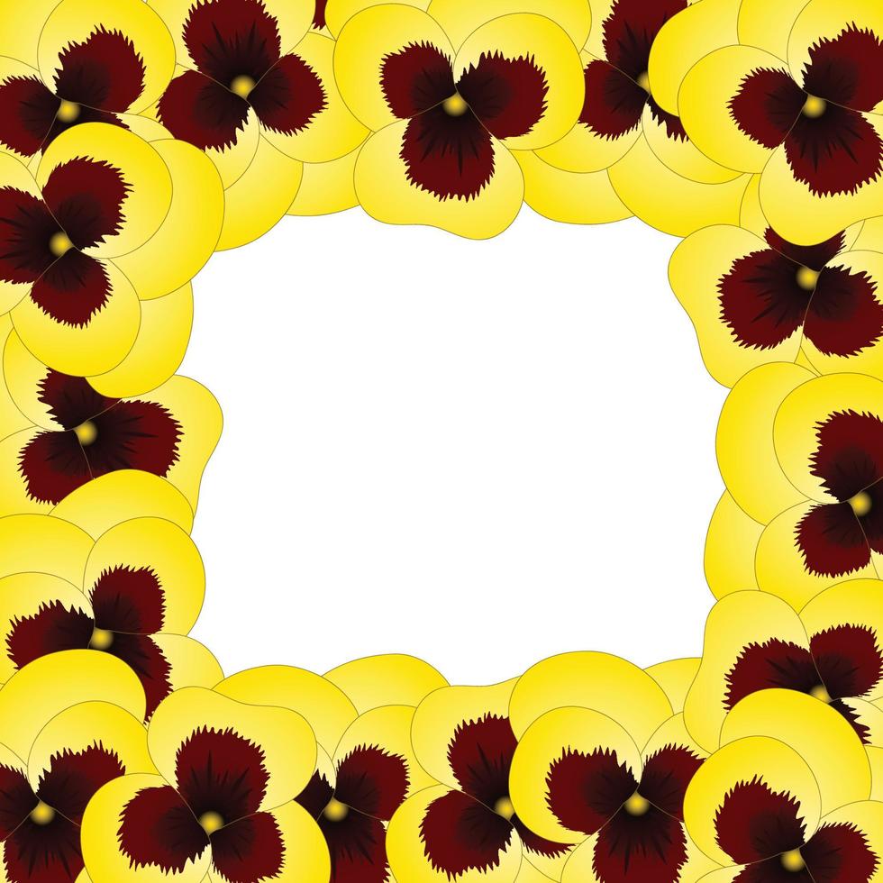 fronteira de flor de amor-perfeito de jardim viola amarela. vetor