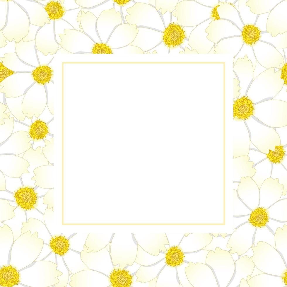 cartão de banner de flor de cosmos branco vetor