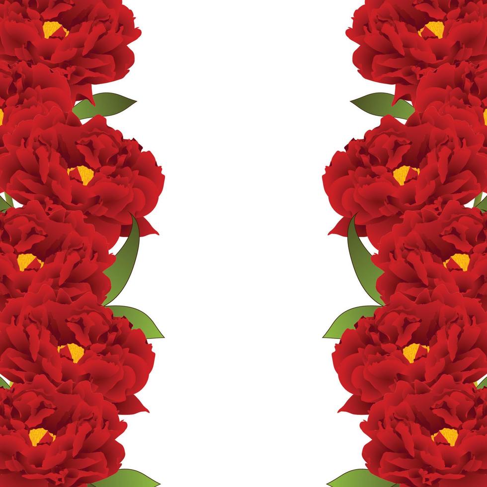 fronteira de flor de peônia vermelha vetor