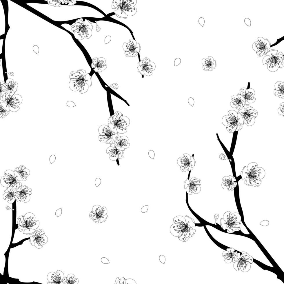 contorno de flor de flor de ameixa no fundo branco vetor