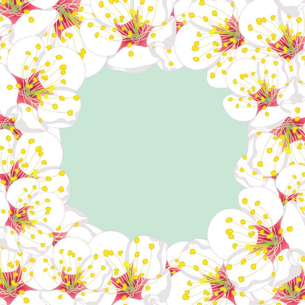 borda de flor de flor de ameixa branca em verde mint2 vetor