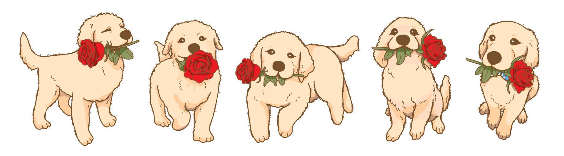 filhote de golden retriever brincalhão dos desenhos animados segurando flor rosa vermelha na boca, adorável cachorro apaixonado vetor