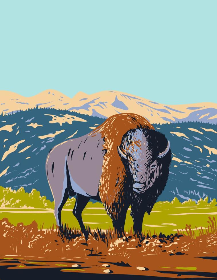 bisão norte-americano vagando na pradaria do parque nacional de yellowstone wyoming wpa cartaz arte vetor