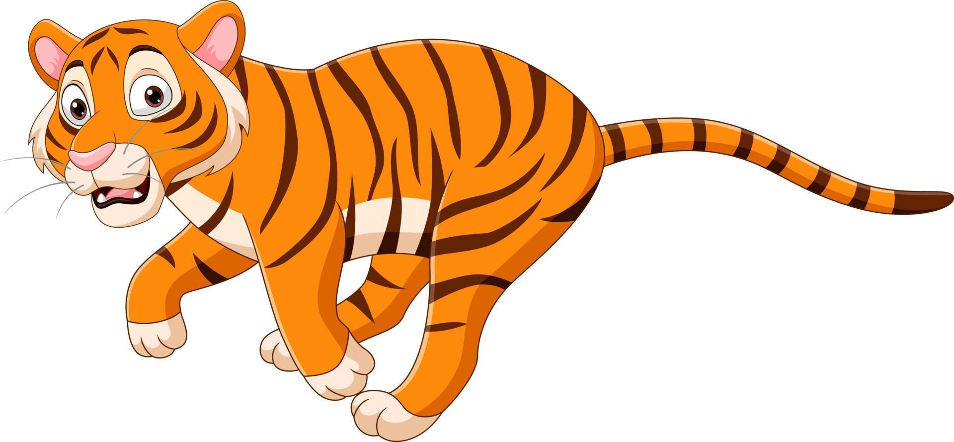 tigre engraçado dos desenhos animados correndo no fundo branco vetor