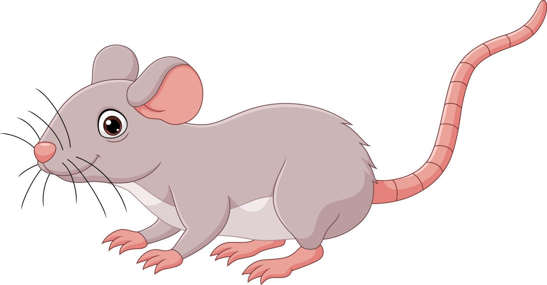 rato bonito dos desenhos animados no fundo branco vetor