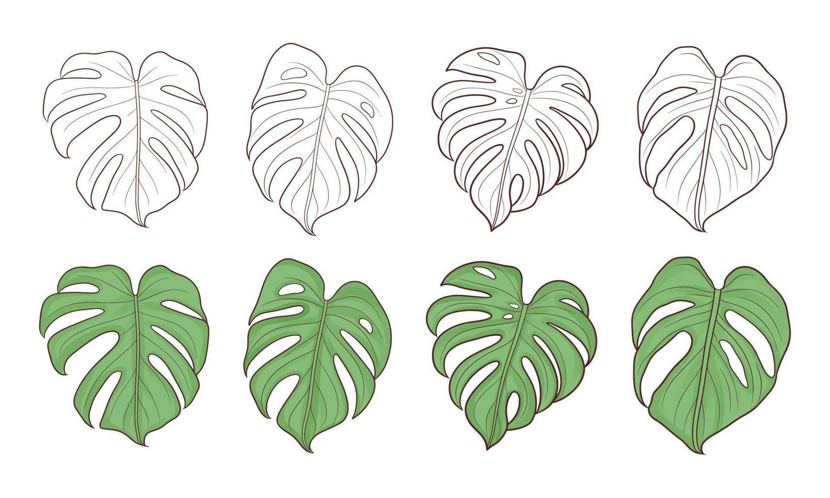 conjunto de folhas de monstera desenhadas à mão vetor