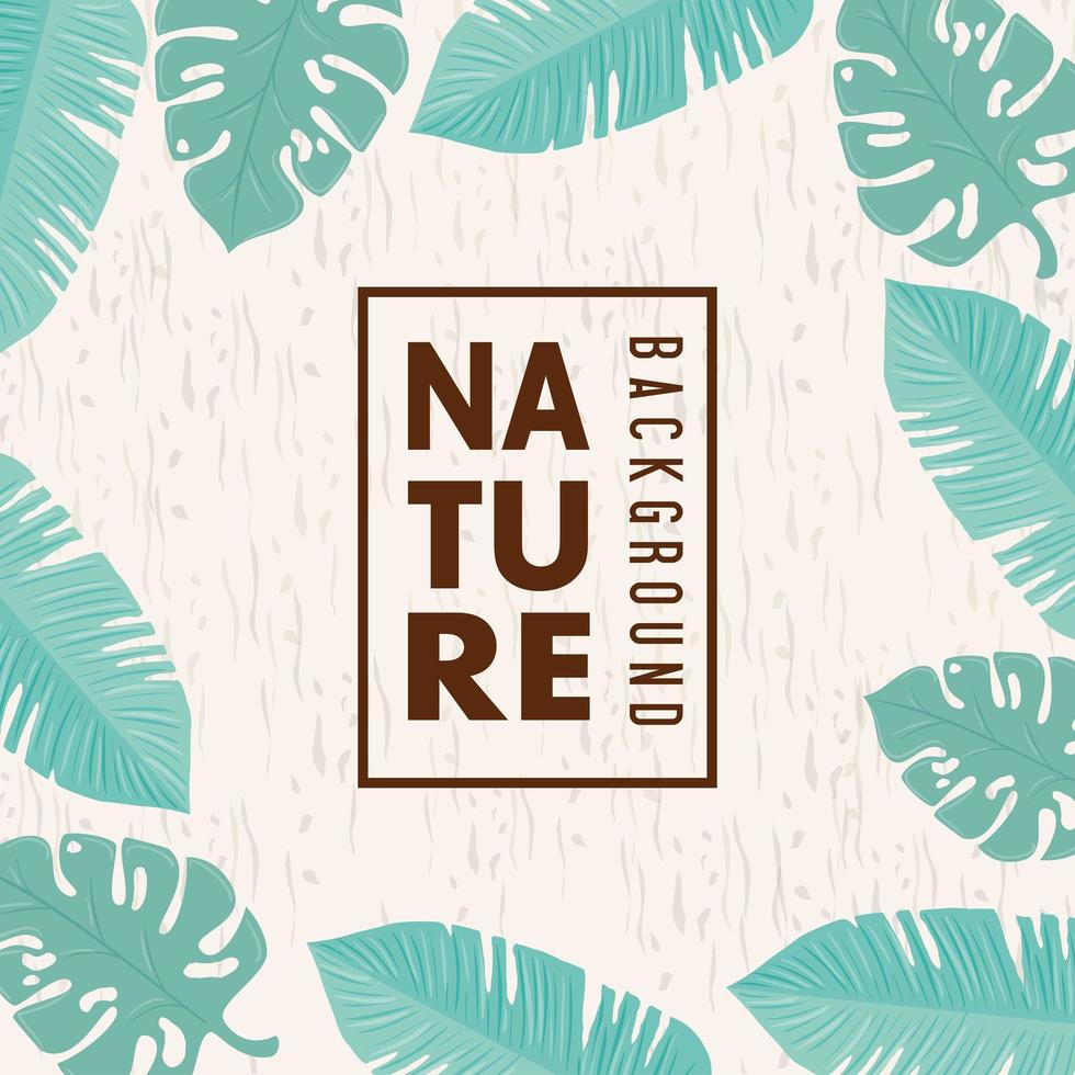 fundo de natureza, moldura de folhas de natureza tropical com cor pastel vetor