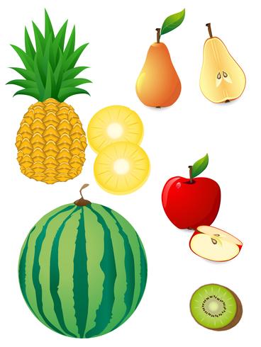 frutas vetor