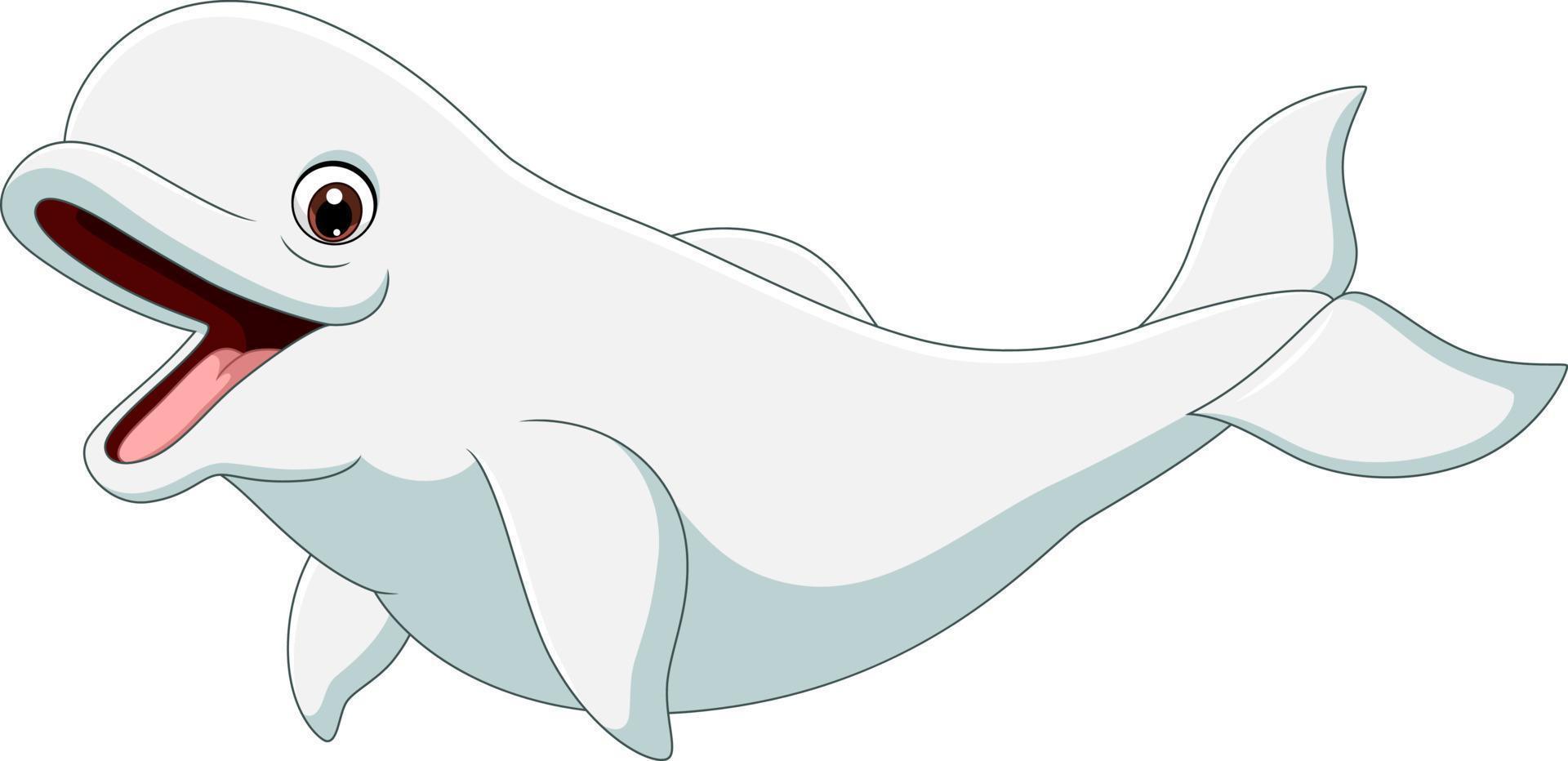 beluga dos desenhos animados isolada no fundo branco vetor