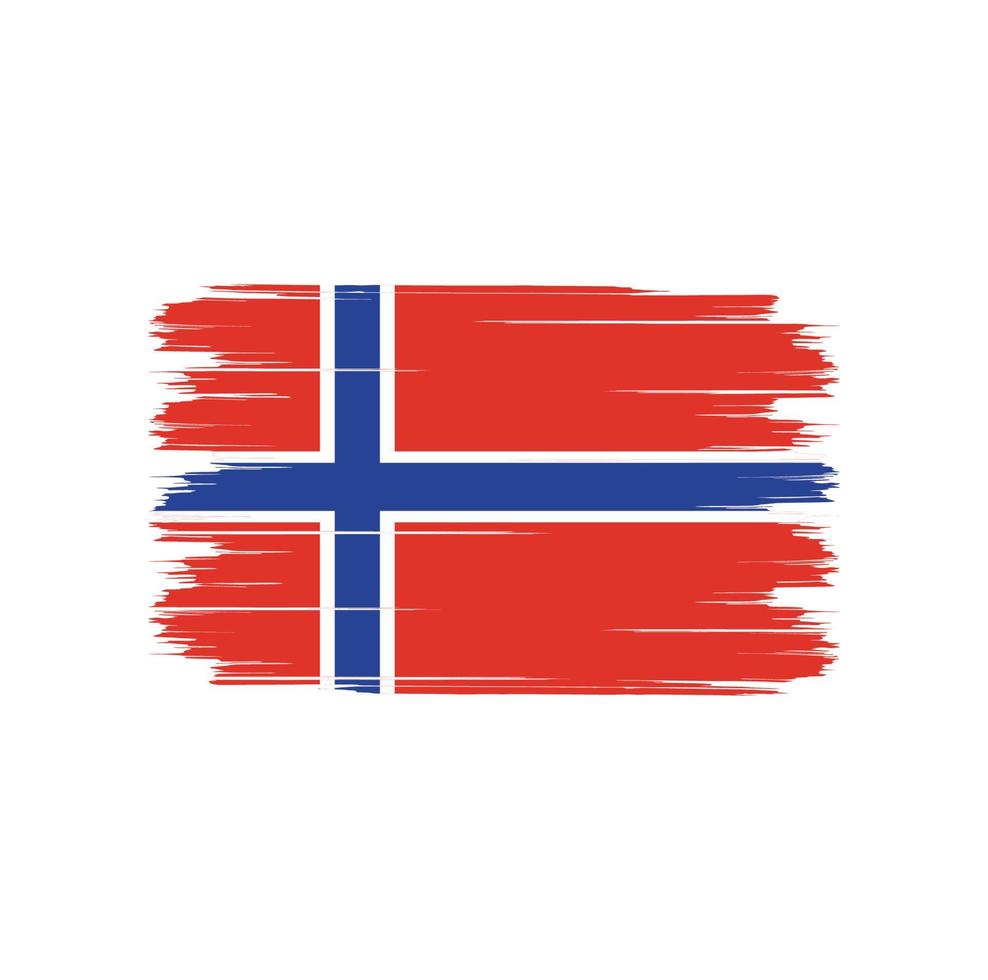escova de bandeira da noruega vetor