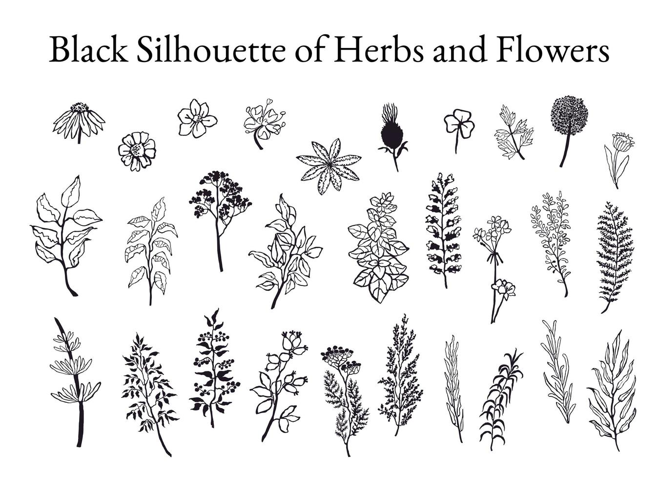 conjunto de ilustração de esboços de ervas, plantas e flores vetor