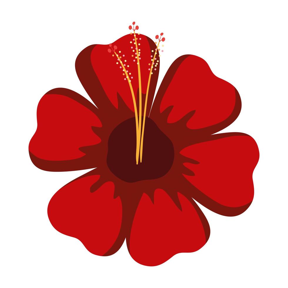 flor tropical de hibisco vetor