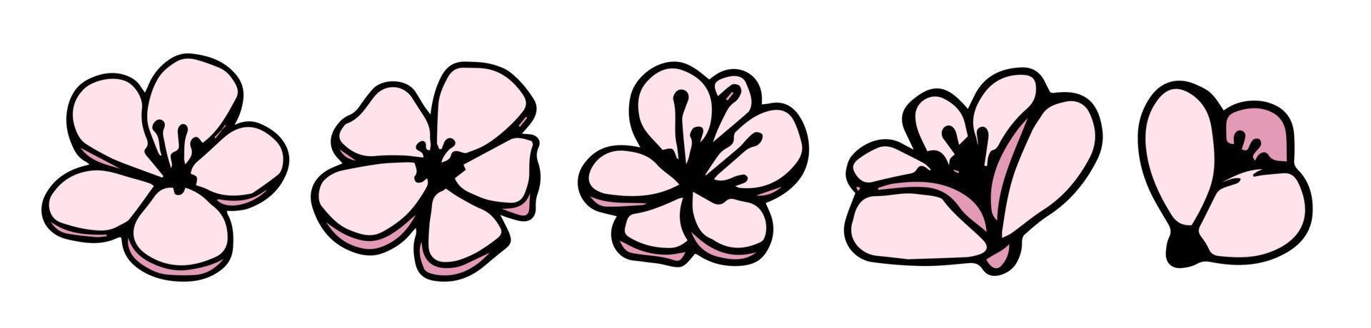 vetor definido silhuetas de cinco flores de magnólia rosa desenhadas à mão, isoladas no fundo branco. ilustração vetorial. flores primavera doodle, ilustrações