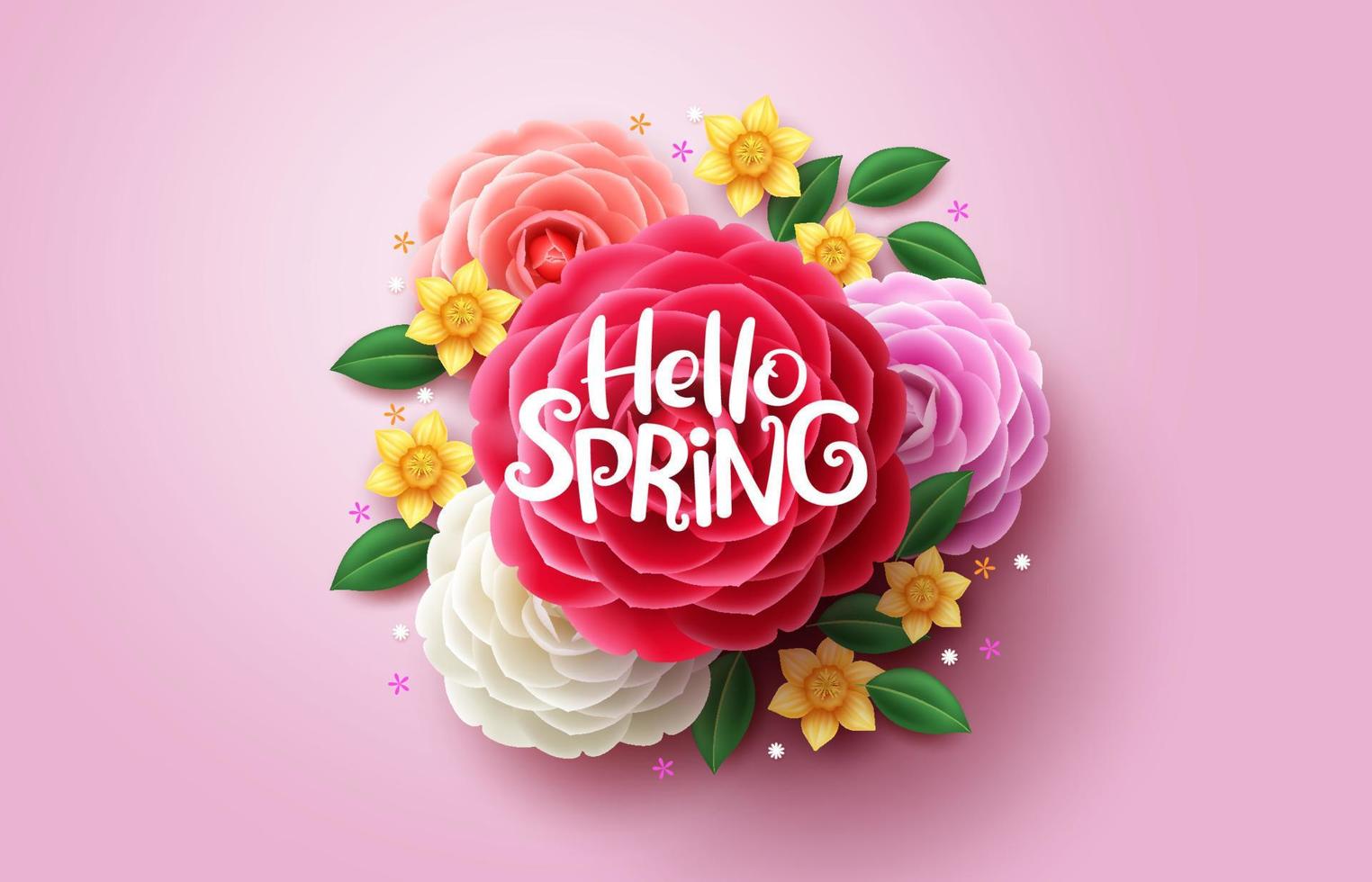 design de vetor de flores de primavera. Olá texto de primavera acima de flores coloridas de camélia e açafrão em fundo espiral rosa.
