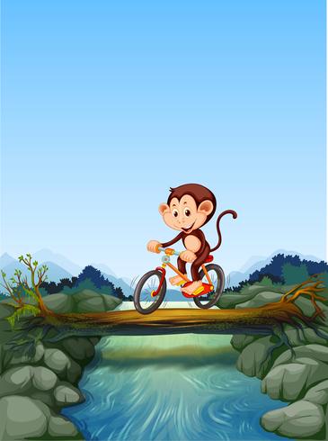 Macaco andando de bicicleta atravessando o rio vetor