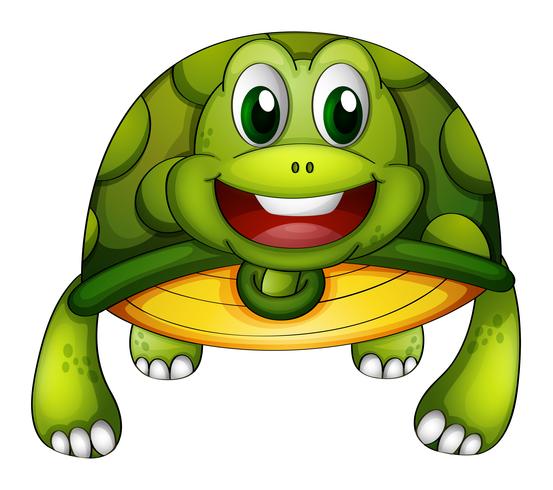 Uma tartaruga verde vetor