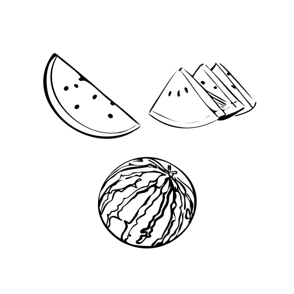 ilustração em vetor de uma melancia em um fundo branco e isolado. esboço da loja, banner, menu e logotipo. contorno preto e branco.