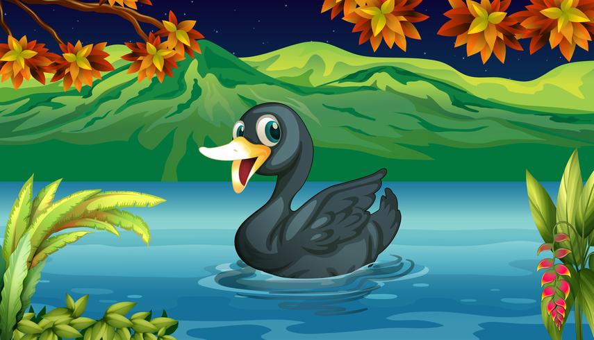 Um cisne negro no lago vetor