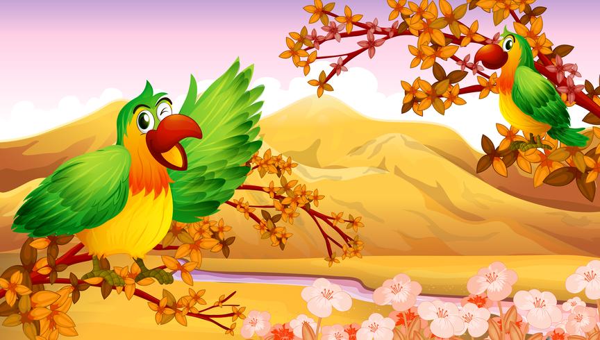 Papagaios em um cenário de outono vetor