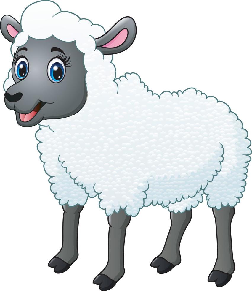 uma linda ovelha isolada no fundo branco vetor