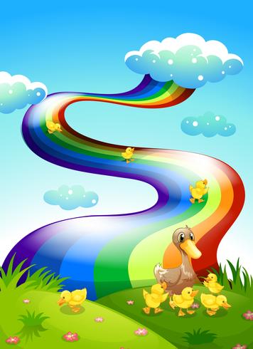 Um pato e seus patinhos no topo da colina com um arco-íris acima vetor