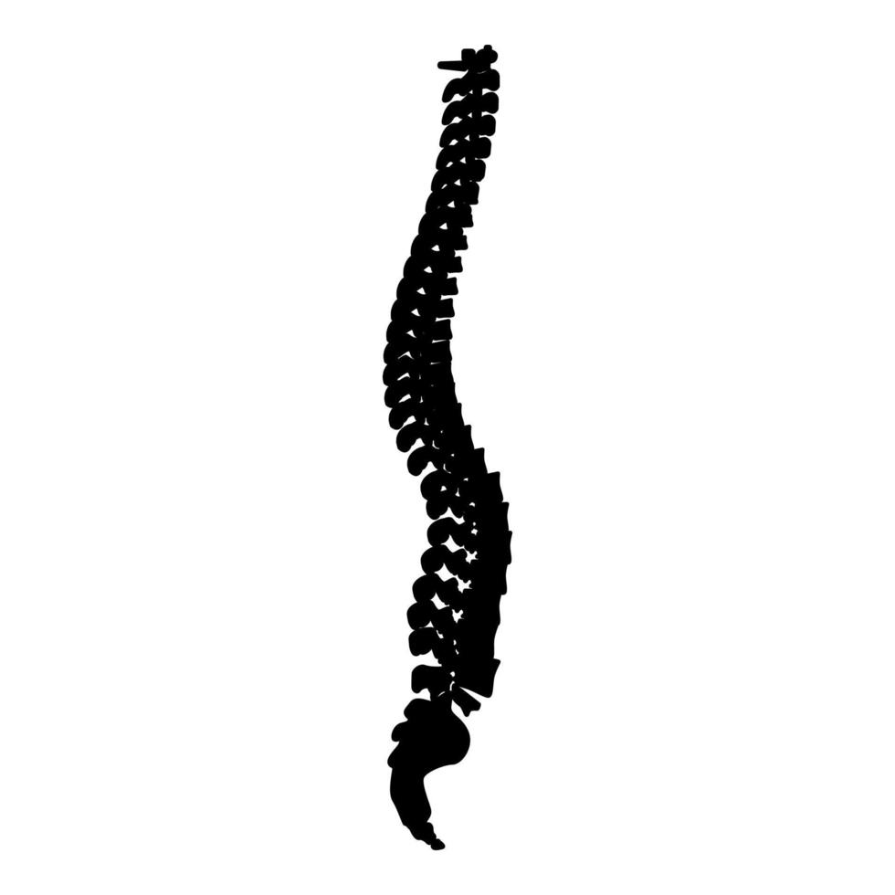coluna vertebral coluna vertebral ícone da espinha dorsal ilustração vetorial de cor preta imagem de estilo plano vetor