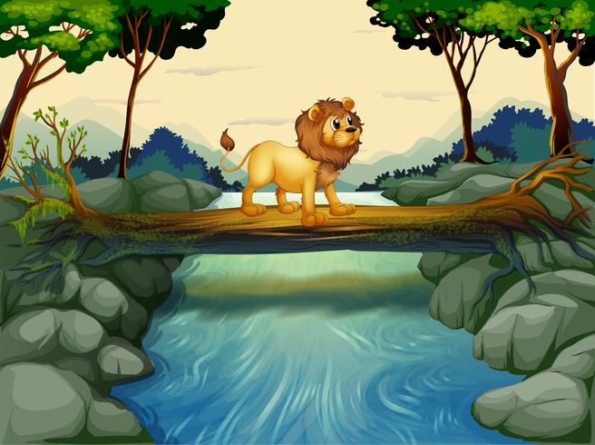 Um leão atravessando o rio vetor