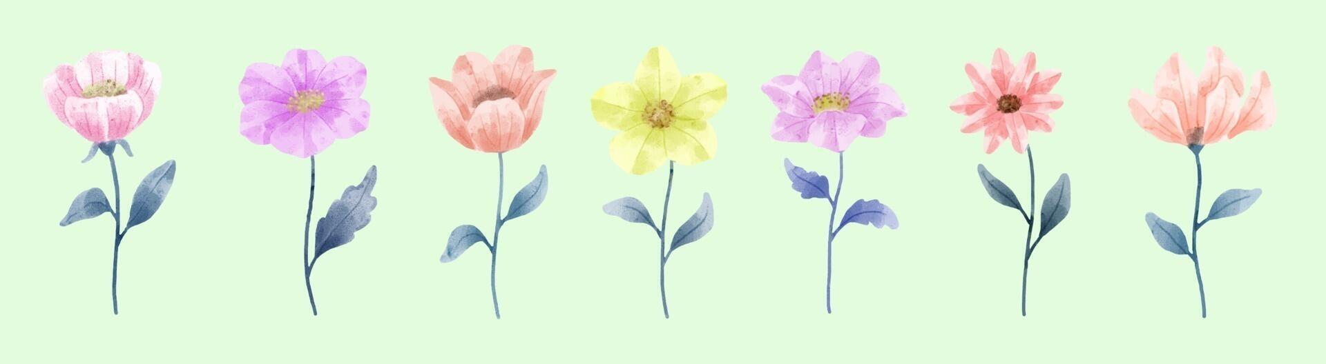 um conjunto de flores pintadas em aquarela para criação de trabalho de designer vetor