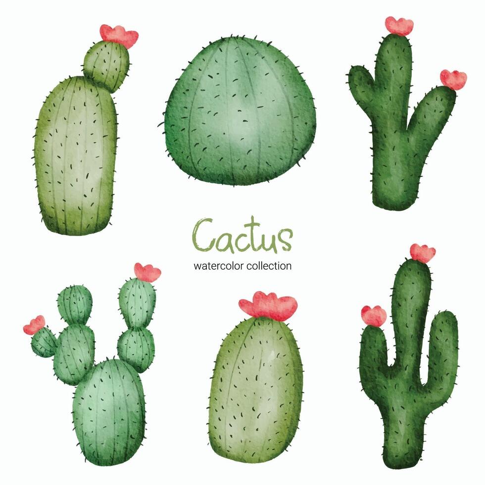 ativo de objeto de brinquedo de catus em aquarela. conjunto de animais de brinquedo de bebê de planta de cacto vetor