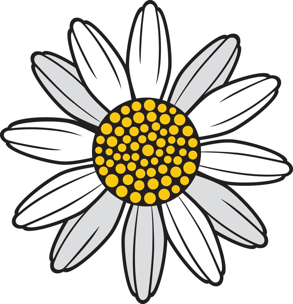 ilustração vetorial de flor de camomila vetor