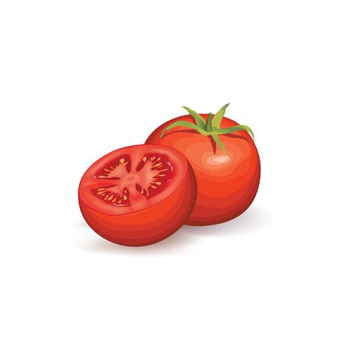 Tomate isolado. Logotipo vegetal. Sinal de produto natural vetor