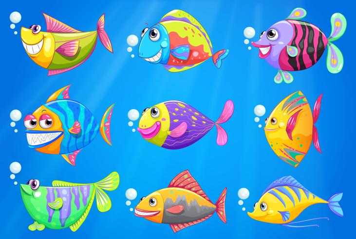 Nove peixes coloridos sob o mar vetor