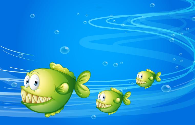 Três piranhas verdes sob o mar vetor