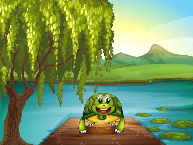 Uma tartaruga sorridente ao longo do lago vetor