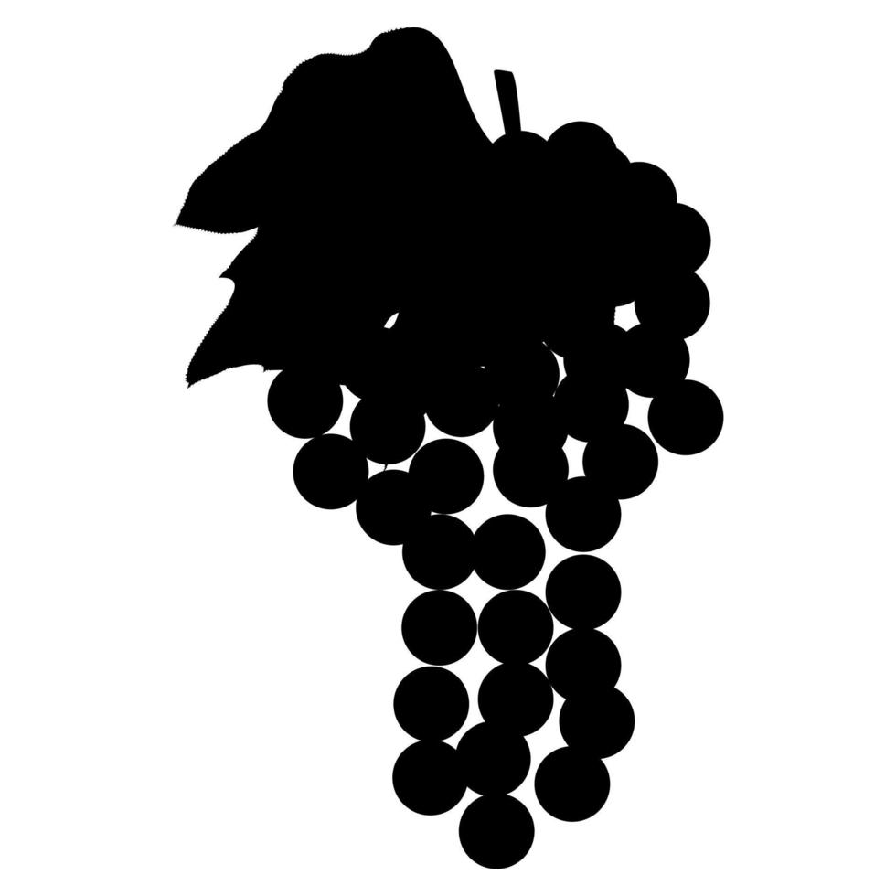 ícone de uva ou cacho de uva. vetor
