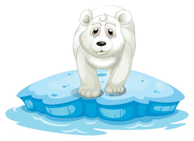 Urso polar vetor