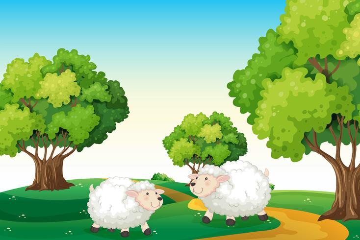 Duas ovelhas brancas no topo da colina vetor